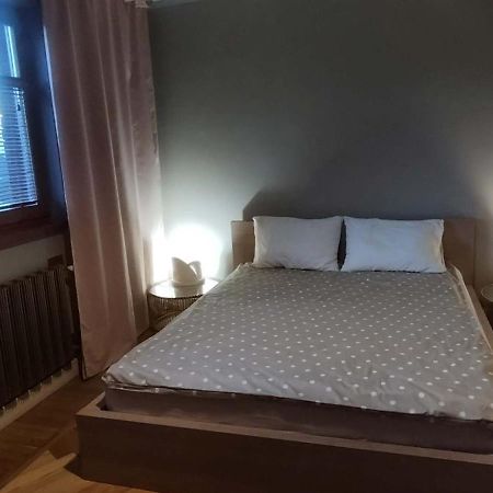 Patek Premium Apartments - Airport Lawica & Mtp & Car Races & International Trade Fairs Skórzewo Esterno foto